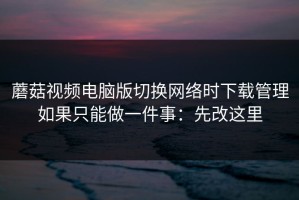 蘑菇视频电脑版切换网络时下载管理如果只能做一件事：先改这里